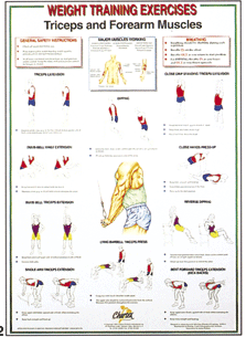 Chartex Set of 8 Dumbell Charts