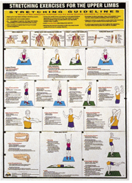 Chartex Set of 3 Stretch Chart