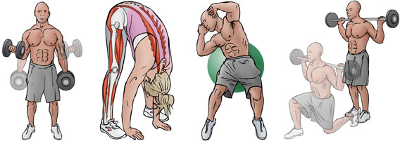 Health & Exercise Charts