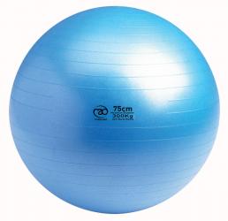300Kg Anti-burst Swiss ball only