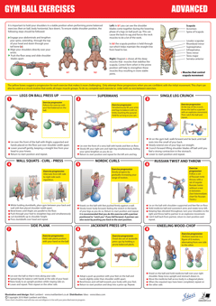 Gym Ball Chart Advanced