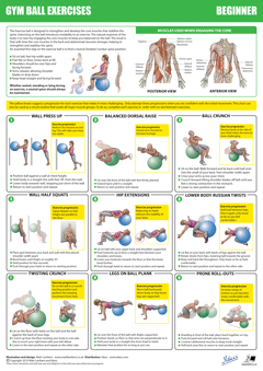 Gym Ball Chart Beginners