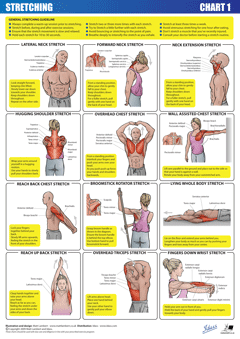 Stretch Chart 1