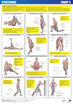 Stretch Chart 3