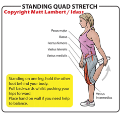 A Set of 3 stretch Charts