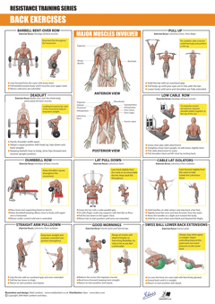 Resisitance Series - Back