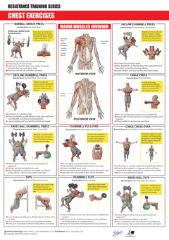Resisitance Series - Chest