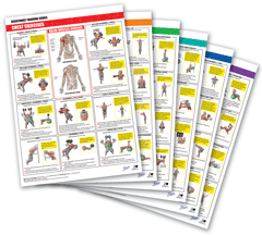 Resistance Training Series