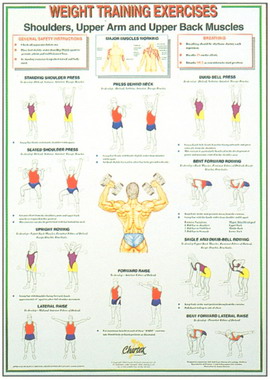 Dumbell Charts Shoulder