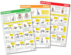 A Set of 3 Gym Ball Charts