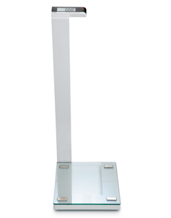 Seca 719 Digital Glass Column Scale